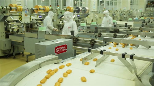 为巴黎奥运喝彩，盼盼之家巴黎体验店闪耀法国街头