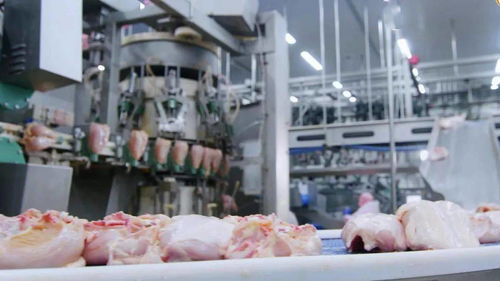 江西圣农 深延产业链，锻造肉制品加工行业新龙头